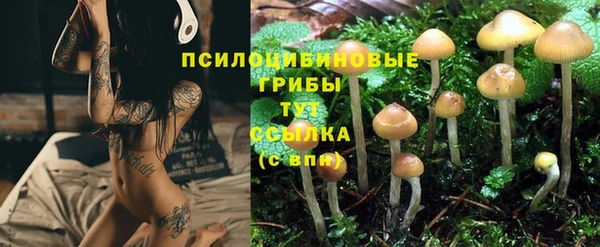 каннабис Куйбышев