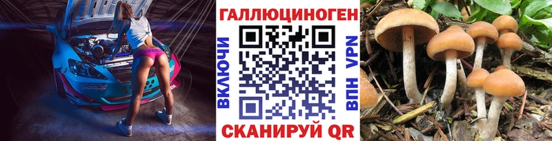 Купить  Меленки  Галлюциногенные грибы Cubensis 